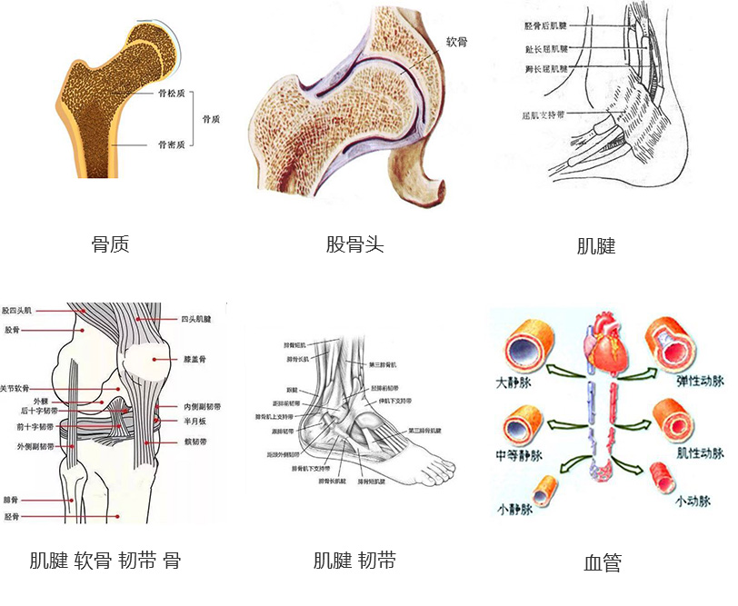 未標(biāo)題-3